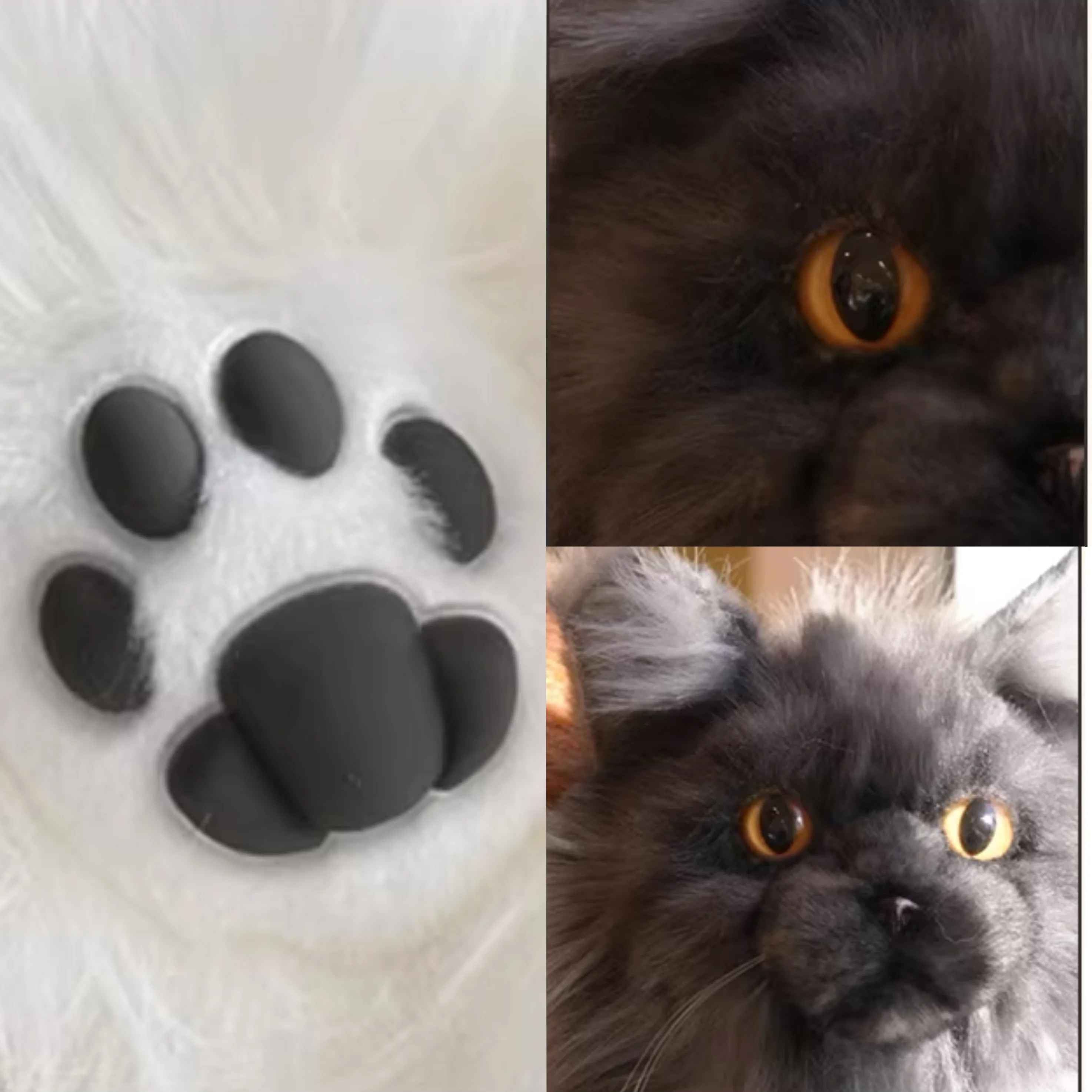 Imagen 7: Mochila de Peluche de Gato Maine Coon Simulado, Bolso Cruzado Hecho a Mano, Muñeca de Peluche Linda, Juguete para Niña, Regalo de Cumpleaños