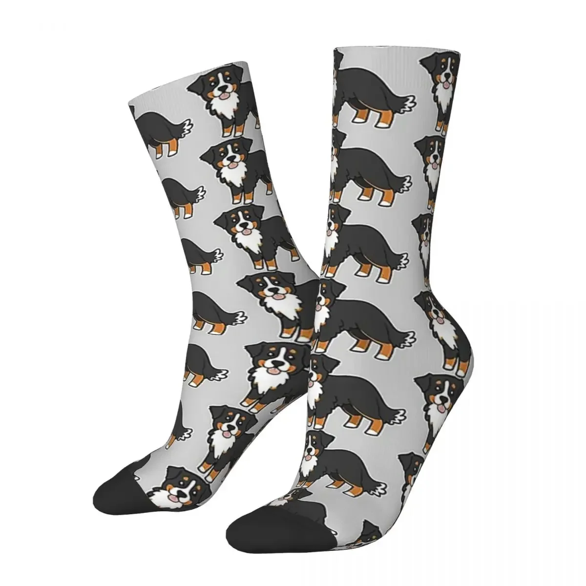 Bernese Mountain Dog Socks Harajuku Super Soft Stockings All Season Long Socks Accessories for Man's Woman's Gifts