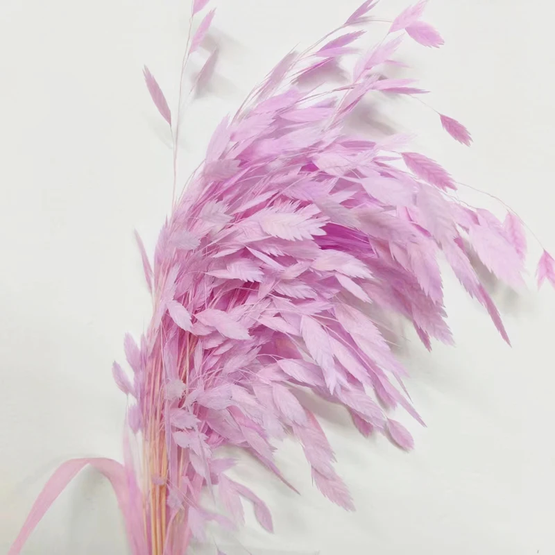 

Natural Decorative Dried Flower Bouquet Preserves Diamond Grass, Dried Small Plate Grass Used for DIY Home Decoration