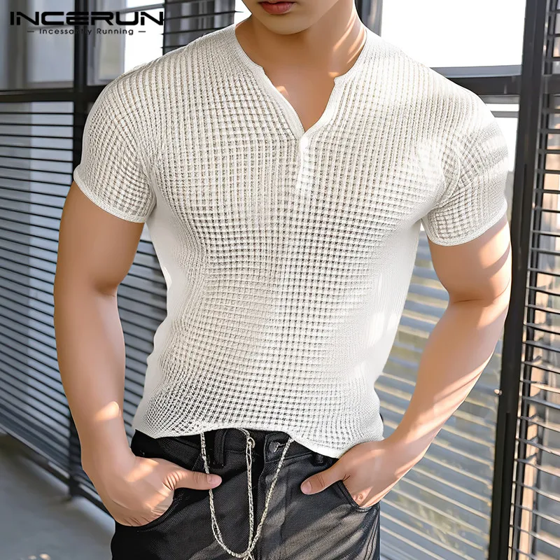 2024 Men\'s T Shirt Plaid V Neck Short Sleeve Casual Tee Tops Men Streetwear Fitness Transparent Fashion Camisetas S-5XL INCERUN