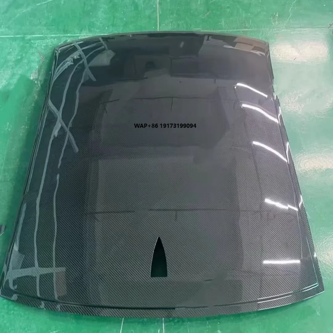 Genuine Dry Carbon …