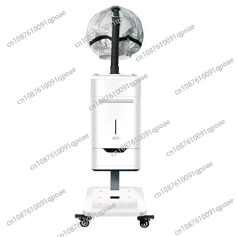 Hair Care Sprayer Hair Care Clubhouse Hairdressing SPA Baking Oil Machine Hair Care Instrument Negative Ion Nano Hydrating Steam
