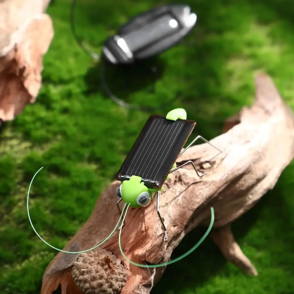 Solar Powered Solar Grasshopper Cockroach Grasshopper Science Education No Batteries Multi-Foot Worm Simulation Insect Gift
