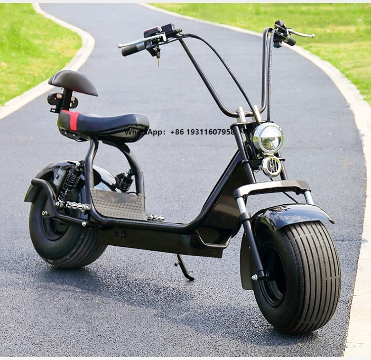 

LNA Wholesale 1500w Battery Operated Motorcycle Accessories