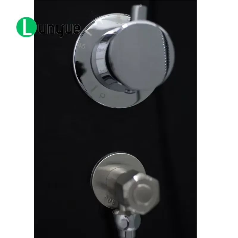 Aluminum Profile Square Pivot Shower Door Simple Frameless Glass Enclosure Bathroom Partition Easy Installation Waterproof