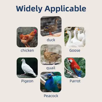 10 best sales Incubatrice per uova completamente automatica - №10