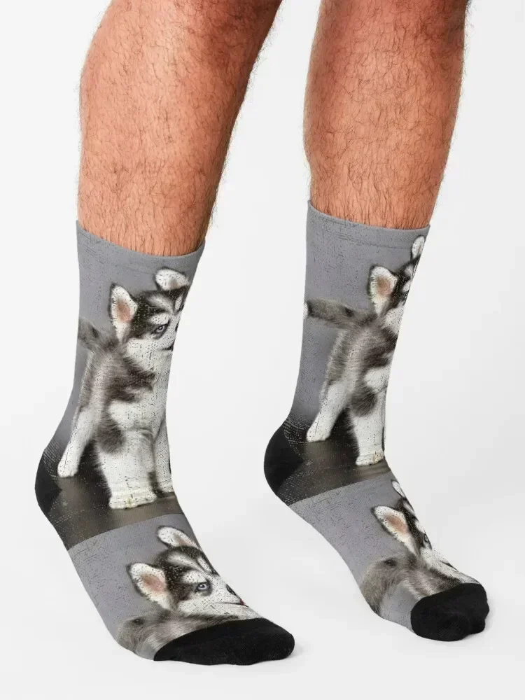 Cute Siberian Husky Dog Vintage Gift Distressed Portrait Socks crazy funny sock with print Women's Socks Men's