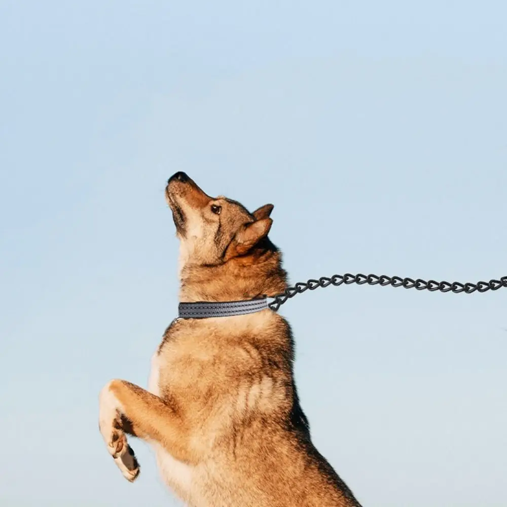 

Practical Adjustable Dog Leash Reflective Breathable Pet Harness Comfortable Lightweight Cat Traction Rope Training