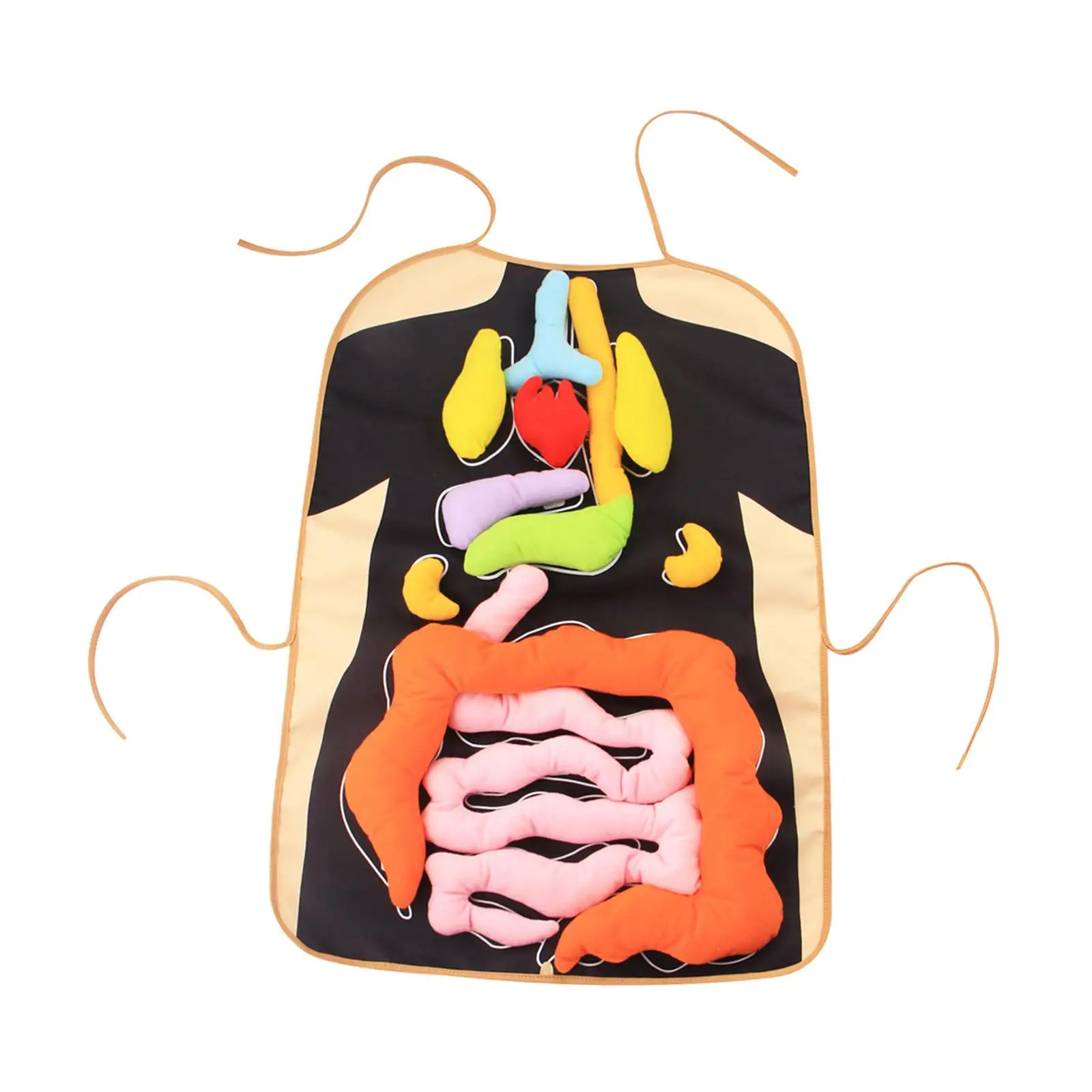 3D Organ Apron Intellectual Development Science Pretend Play Internal Organ Apron for Home Insights School Body Parts Preschool