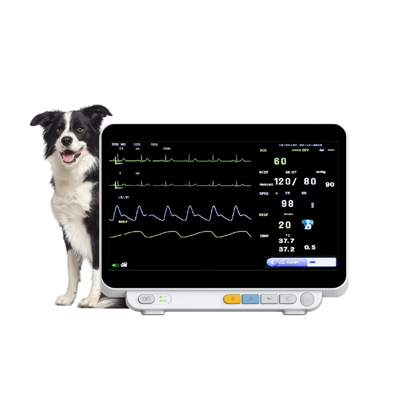 

Pet Hospital Multi Parameter Veterinary Hospital Clinic Vet Vital Signs Monitor