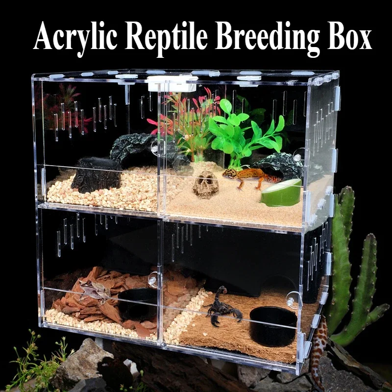 Reptile Habitat  Breeding Box Transparent Acrylic Amphibian Anti-escape Case with Thermometer for Lizard Jumping Spider Turtles