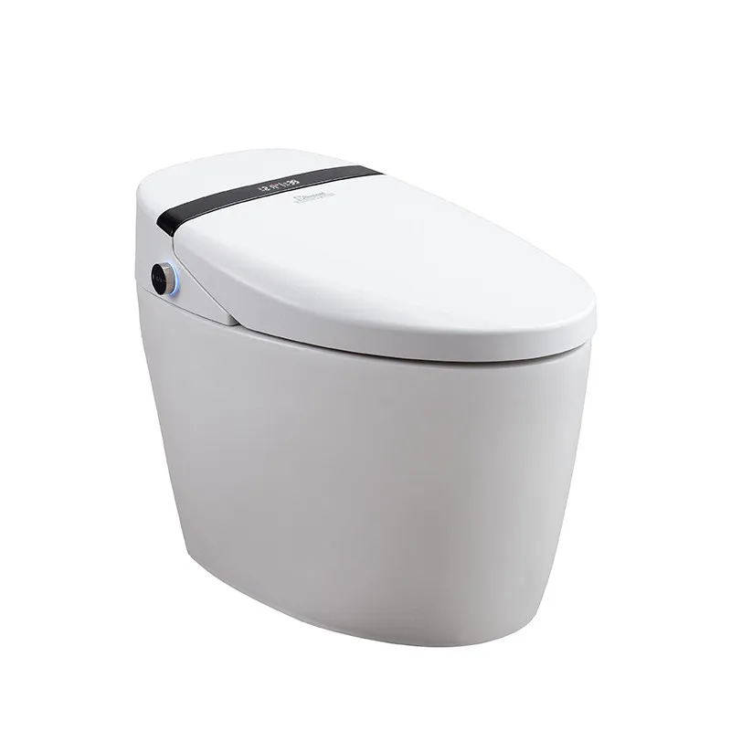 Smart Toilet One Piece Bidet Toilet Heated Seat Instant Heating Electric Toilet 300mm 400mm Rough In