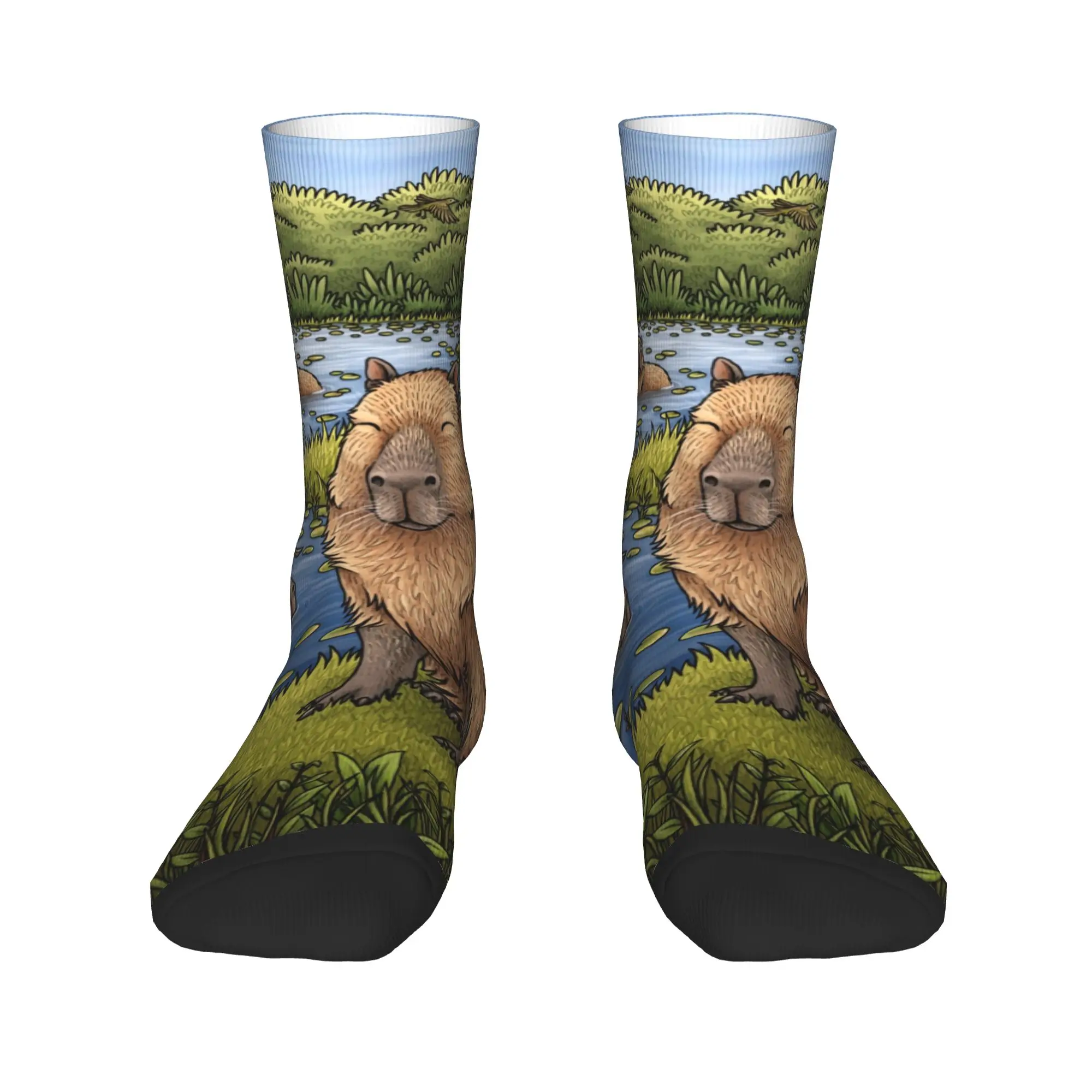 Lustige Strümpfe Capybaras Socken Damen Herren Warme weiche Skateboard Crew Socken