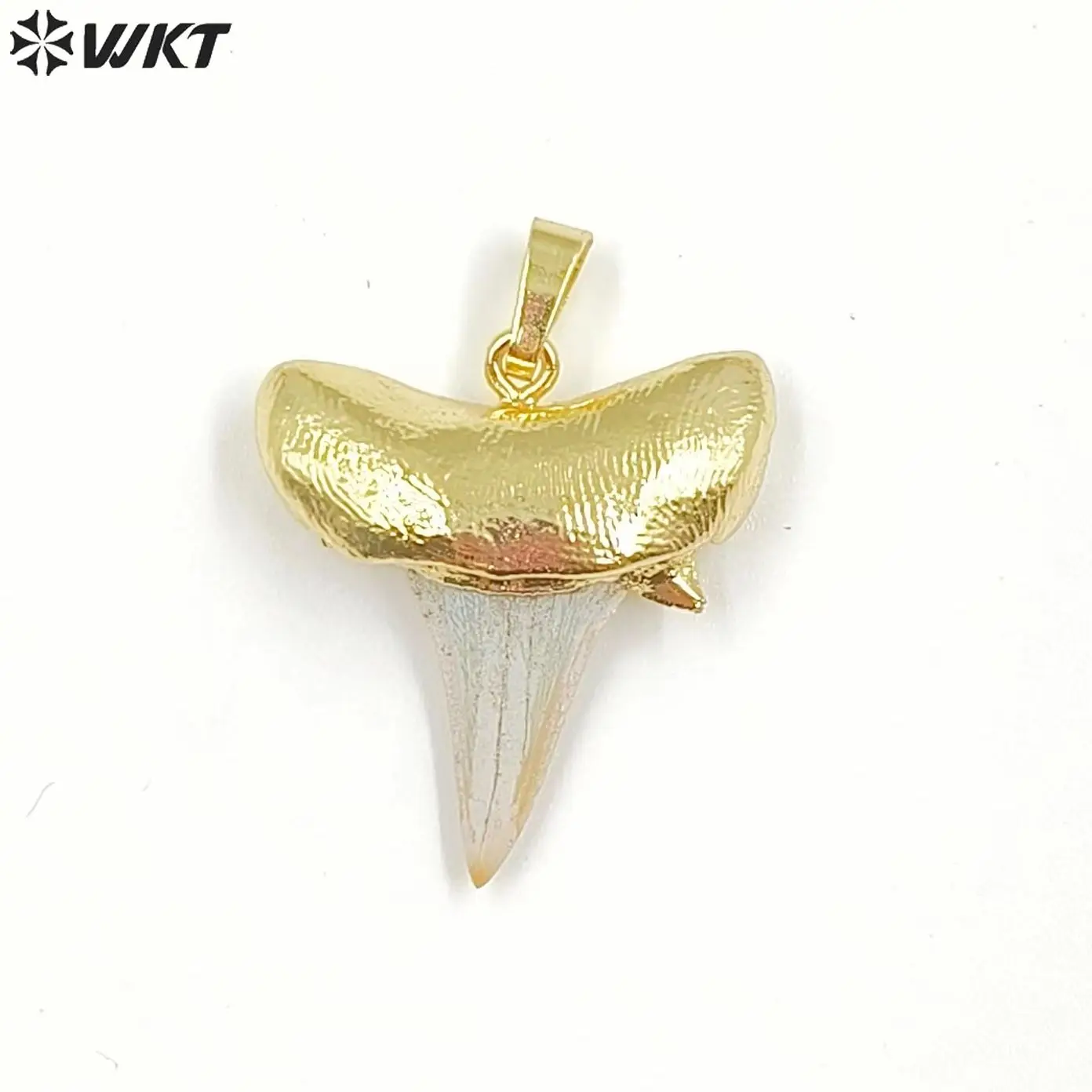 

WT-P858 WKT new 18k gold plated Imitation Teeth pendant Natural specimen tooth necklace pendant fossilss