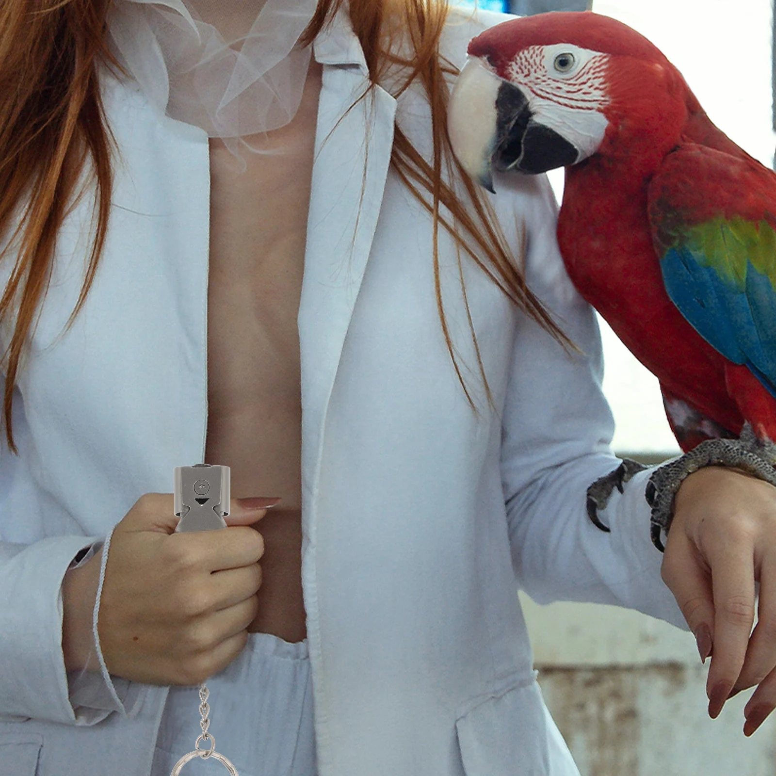 

Bird Training Whistle Stainless Steel Portable Cage Accessories for Parakeet Pigeon Racing Safe Practical Birdcage Gifts