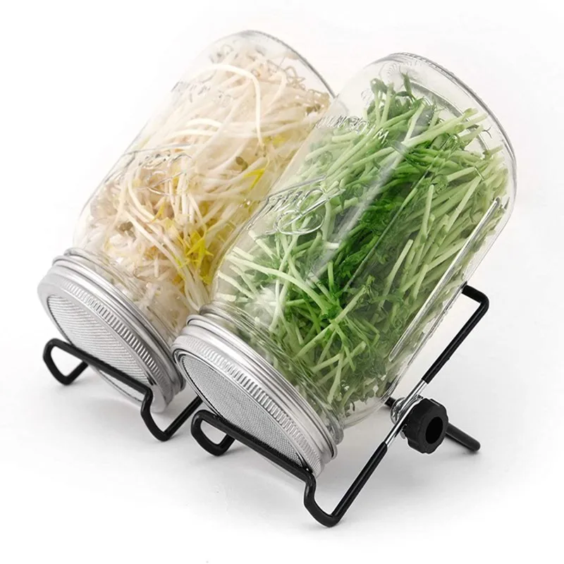

1Set 16/32oz Sprouting Jars with Screen Lids Sprouts Growing Kit Wide Mouth Mason Jar Seed Germination Kit Indoor Sprouter