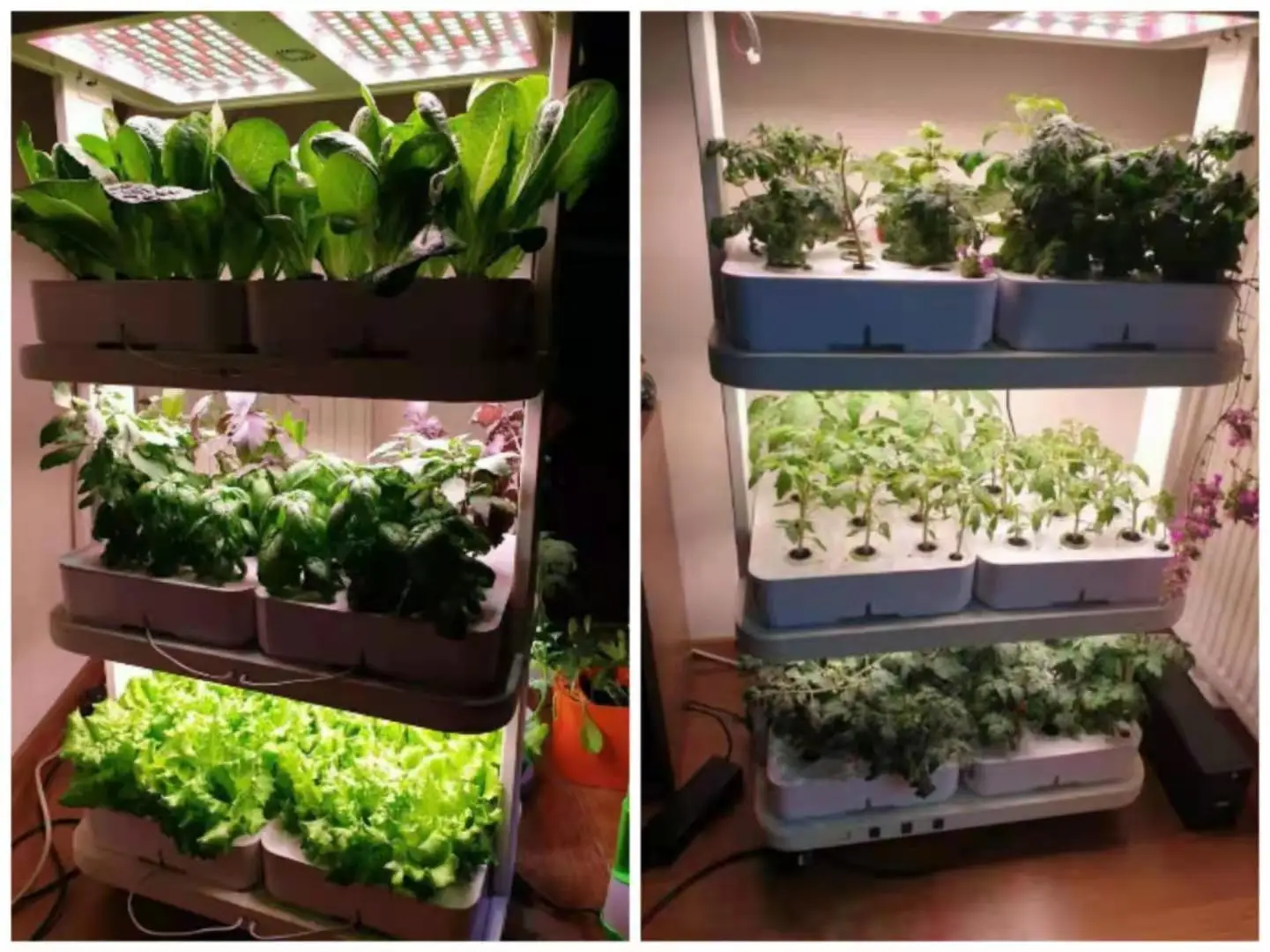 72 فتحة 6 صناديق زراعة LED تنمو أضواء بدلاً من نظام زراعة المائية الداخلي مع أضواء نمو النباتات LED