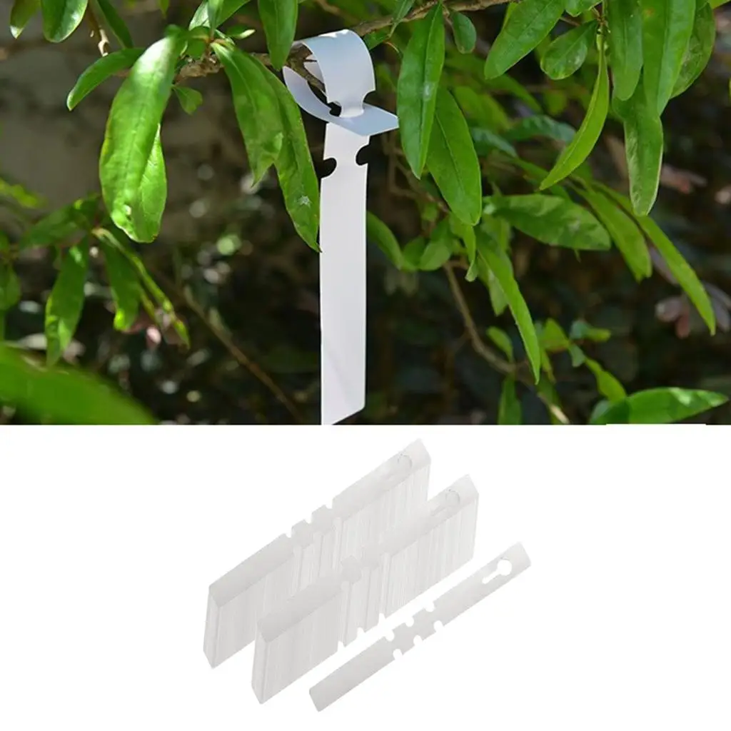 

Wrap Around Plant Label Plastic Waterproof Hanging Garden Signs for Big Outdoor Tree Identification