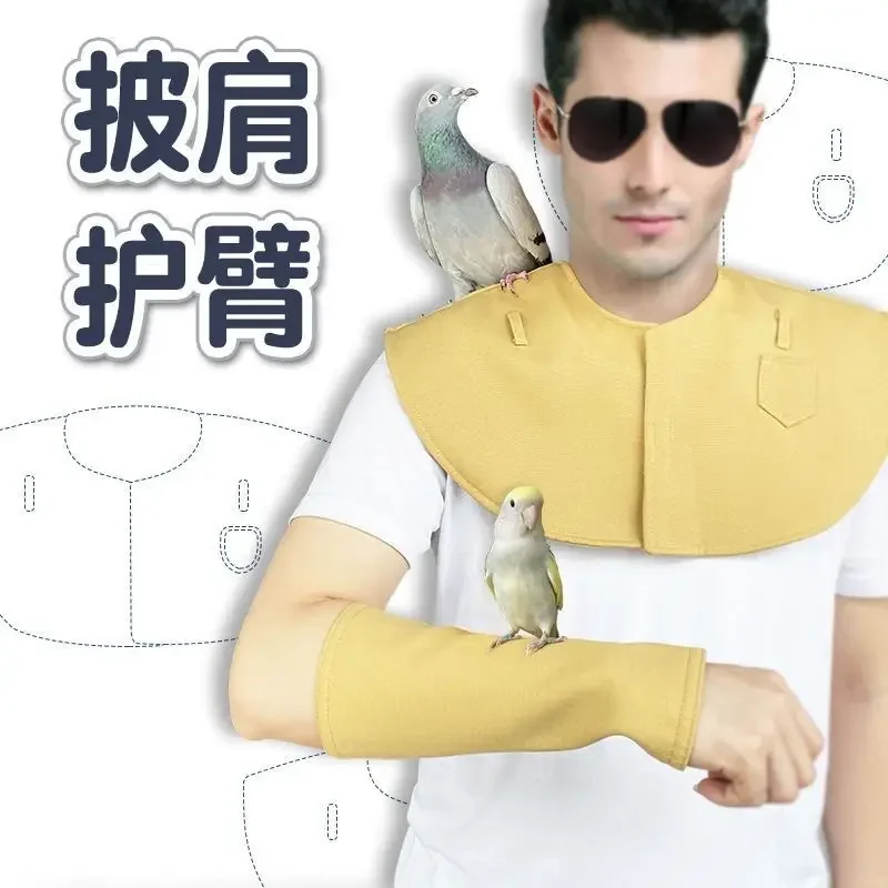 Pet birds use parrot owners to prevent soiling of clothing, stand up to prevent scratching, and wear shoulder wrap