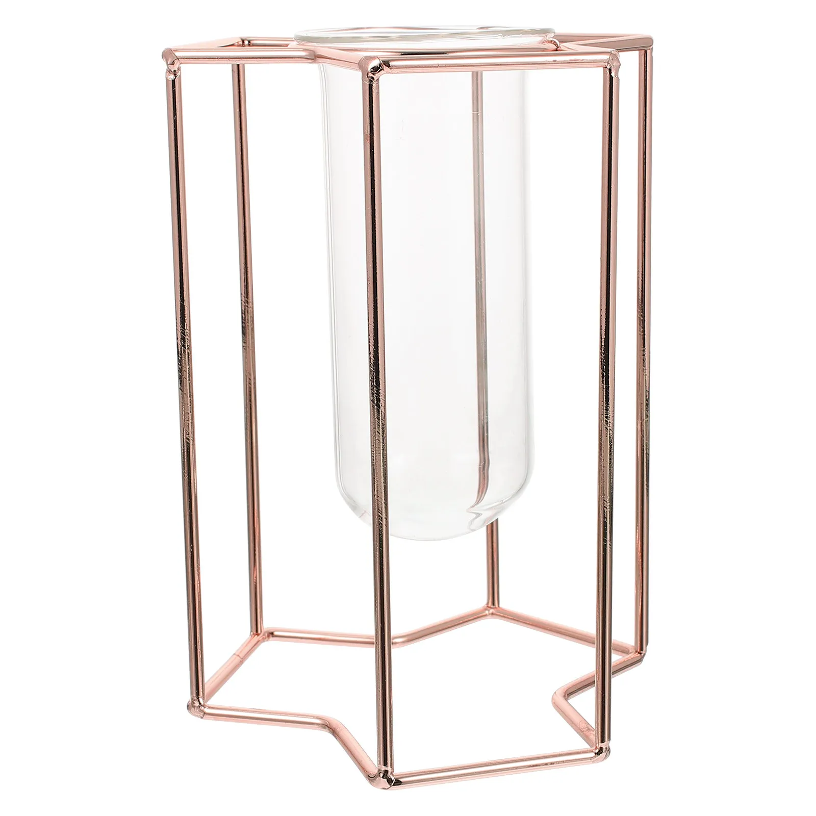 

1Pcs Transparent Glass Tube Vase Hydroponic Planter for Green Plants Modern Artistic Desk Home Office Wedding Decoration Gift
