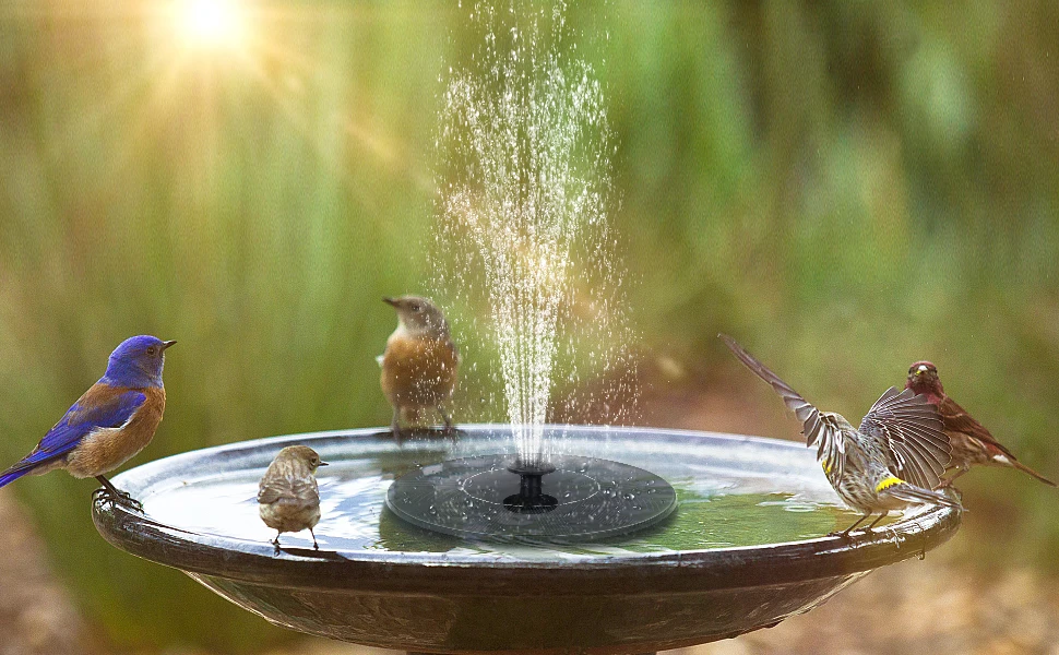 

1W 6 Nozzle Solar Bird Bath Fountain Pump Free Standing Solar Powered Water Fountain Pump for Bird Bath Garden Pond Pool Outdoor