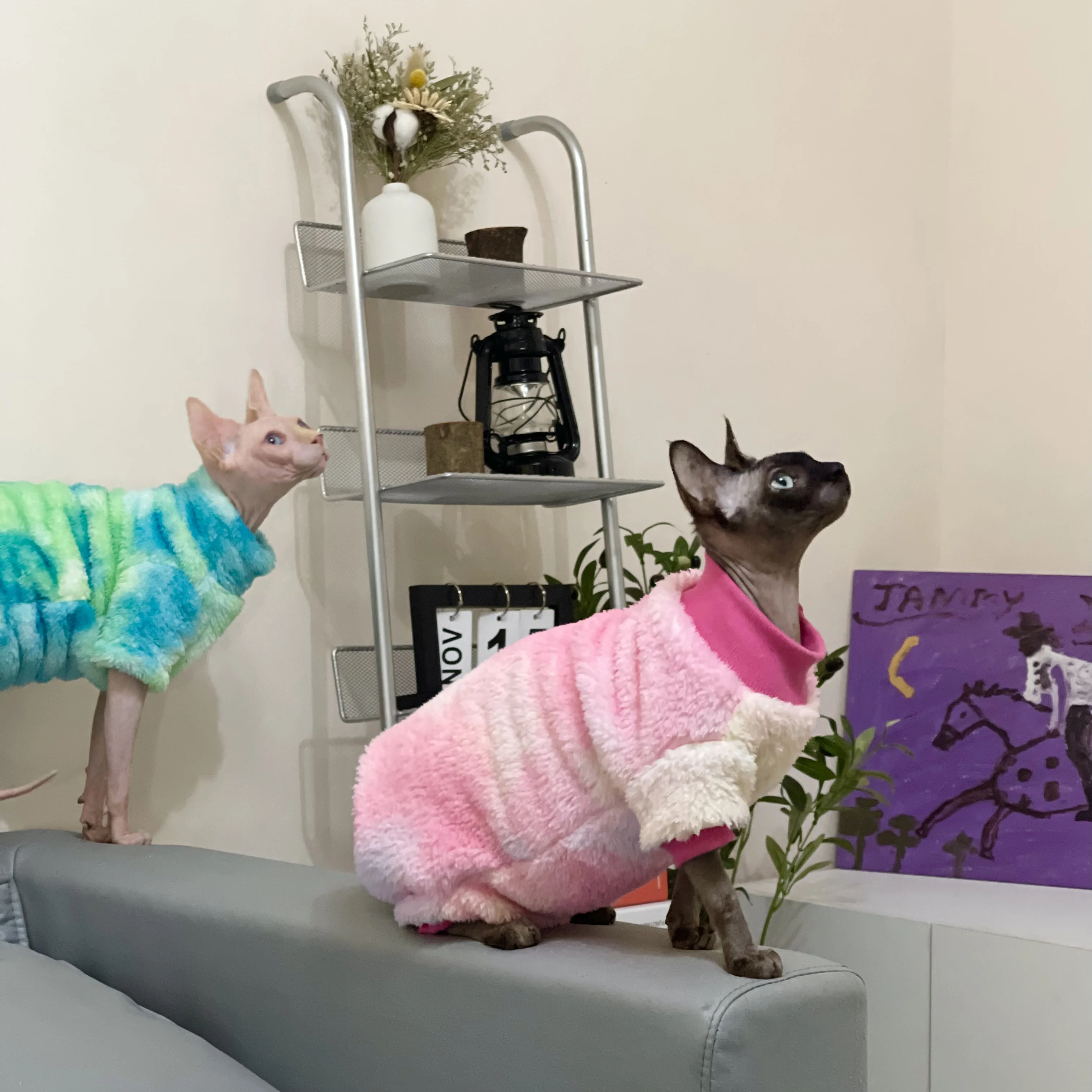 Rainbow Warm Sphynx Cat Turtleneck Sweater Hairless Cat Clothes Soft Winter Coat Thickening Sweet Fleece Jumpsuit for Kittens