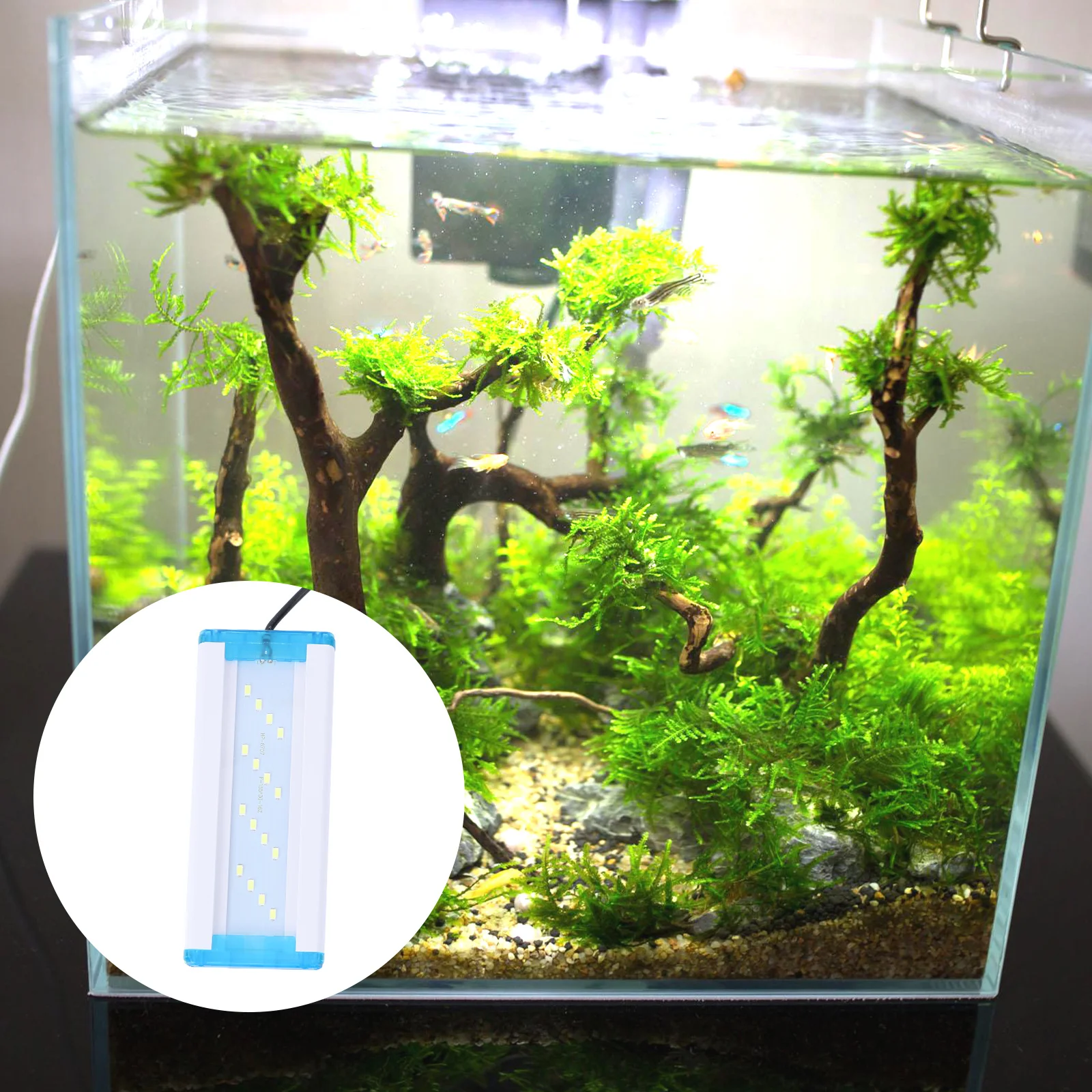 

1Pcs Aquarium LED Lamp Premium Lamp Beads Fish Tank Light for Ecological Landscape Clear Acrylic Sheet Metal Bracket