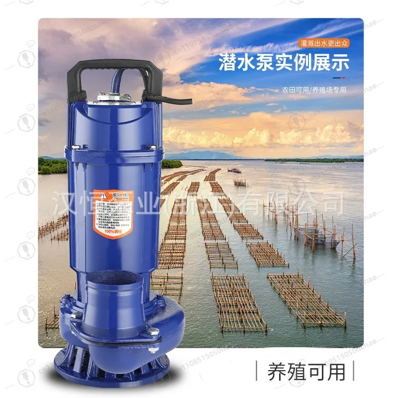 QDX Single Phase Submersible Water Pump 220V Portable High Head Large Flow Clear Water Pump For Household Farm Irrigation