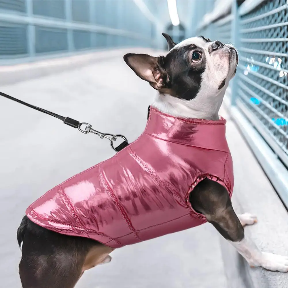 Thumbnail 4 - #61 Compare Puppy Collars Before You Buy