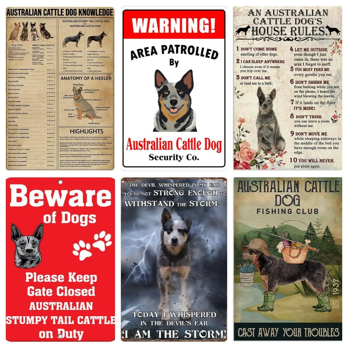 Australian Cattle Dog Knowledge Metal Tin Sign,Educational Pet Shop Wall Decoration, Learn About Pets,Caring for Pets