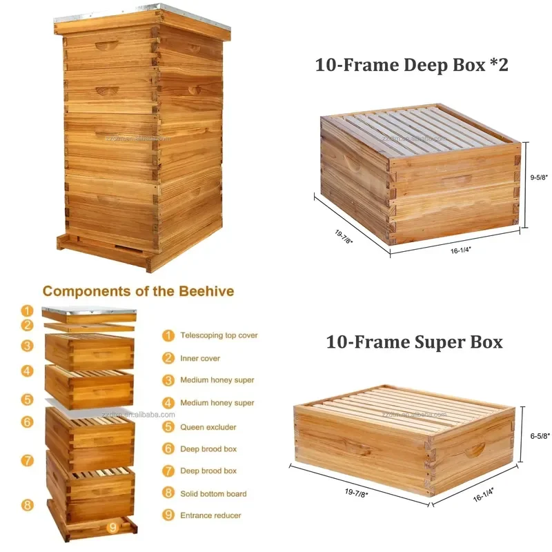 4 Layer Wooden Langstroth Beehive 100 Percent Beeswax Immersed with Frame and Foundation 2 Deep 2 Medium Boxes