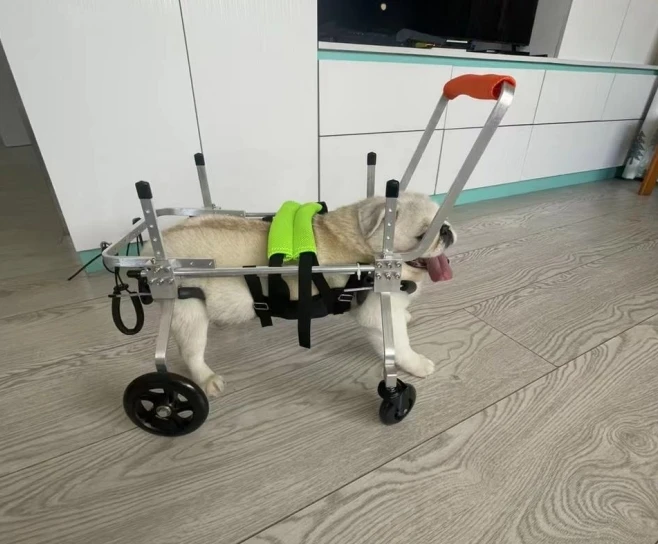 Alat Bantu Jalan Hewan Peliharaan untuk Kaki Depan dan Belakang, Penyangga untuk Anjing Cacat, Kereta Dorong Kaki Belakang untuk Anjing, Kursi Roda Anjing 4 Roda