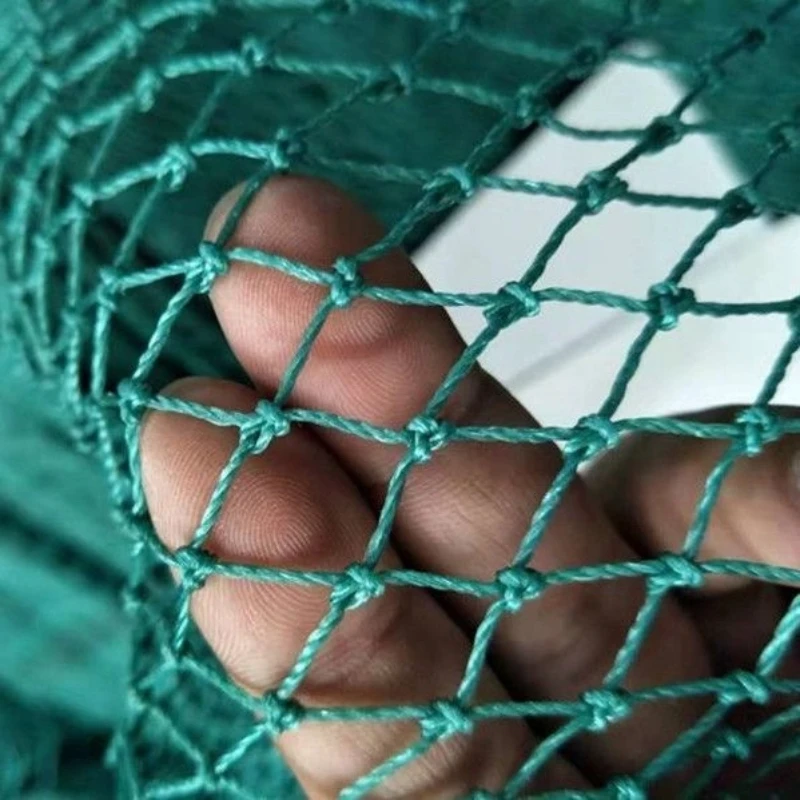 5m-50m 2 Finger Mesh Monofilament Gill Strong Fishing Net With Float Fish Trap Rede De Pesca Nylon Fishing Net Accessory Tools - AliExpress 18 5m-50m 2 Finger Mesh Monofilament Gill Strong Fishing Net With Float Fish Trap Rede De Pesca Nylon Fishing Net Accessory Tools - AliExpress 18