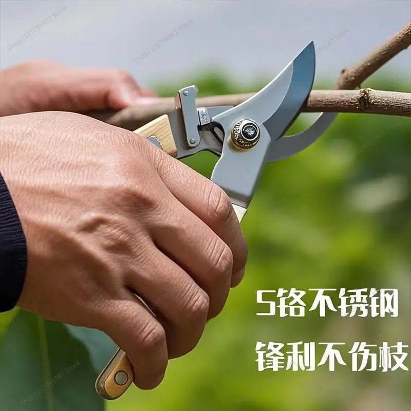 For Special Scissors for Pruning Flower Branches, Stainless Steel Fruit Tree Pruning Shears, Gardening Flower Shears