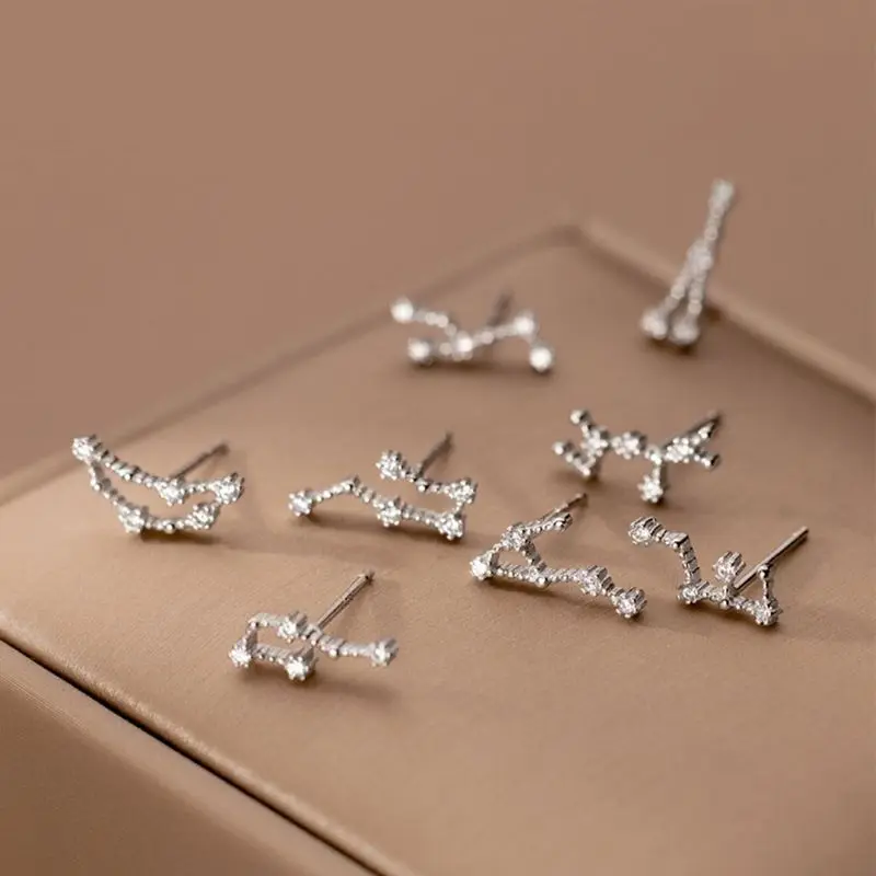 Exquisite Inlay Zircon 12 Constellations Stud Earrings for Women Simple Super Fine Crystal Earrings Daily Jewelry Gifts