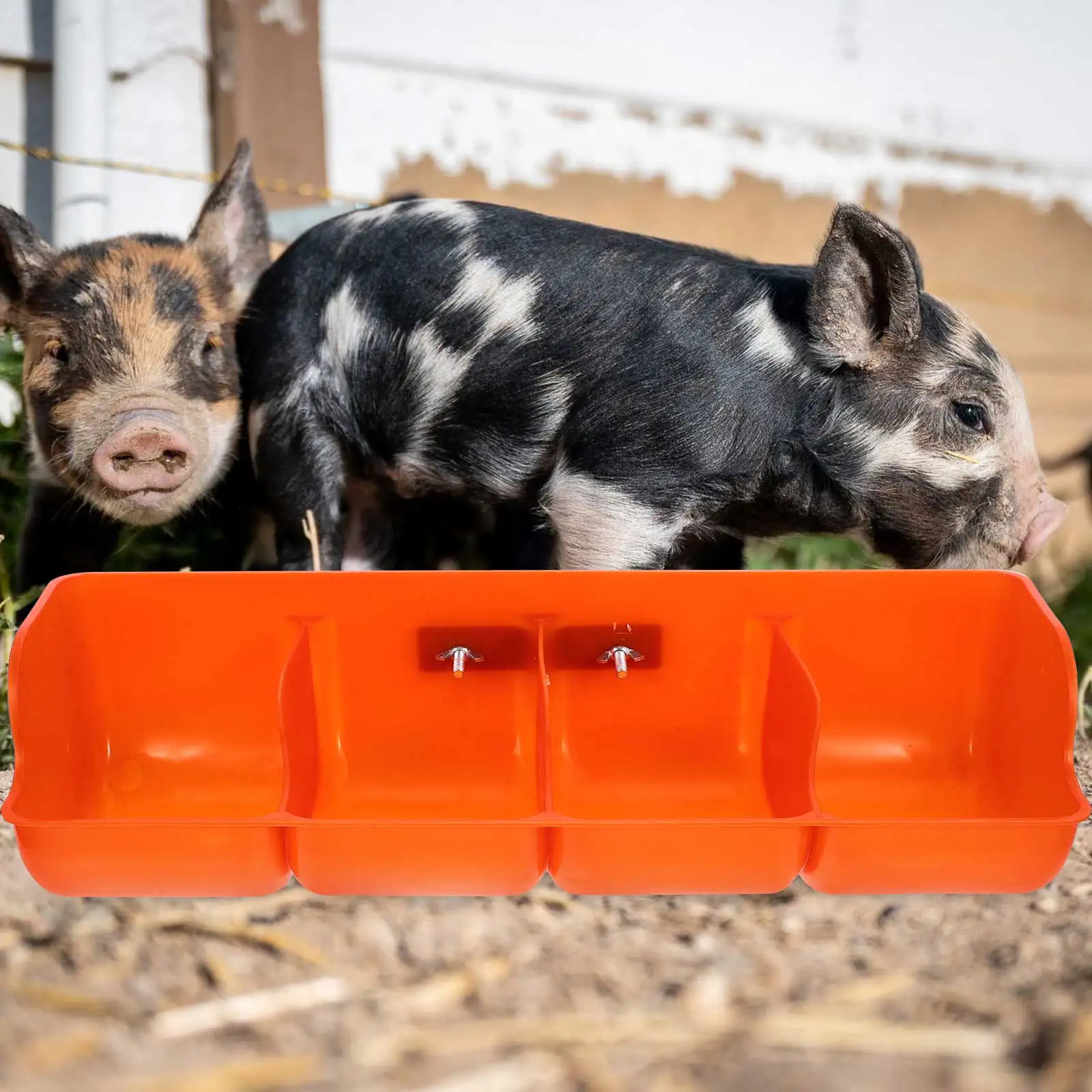 

Four Hole Pig Feeder Trough Farm Manger Food Container Bowl Plastic Tool Dry Wet Food Water Multiple Compartment Suitable Size