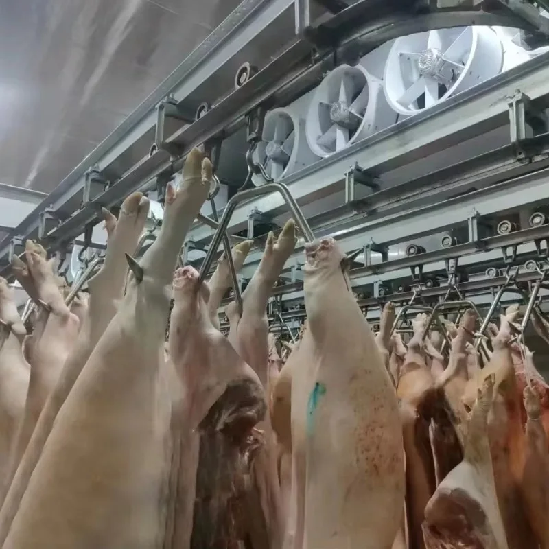 Abattoir Slaughterhouse Kühlraum, 20 Tonnen Fassungsvermögen, Schockfroster für die Aufbewahrung von Rindern, Ziegen und Fleisch, kommerzielles Kühlsystem