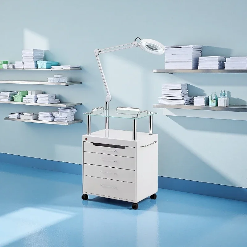 

Beauty Salon Convenient Cart Trolley Multifunctional Baking Paint Mobile Wheels Tool Cabinet Carrello Parrucchieri Furniture