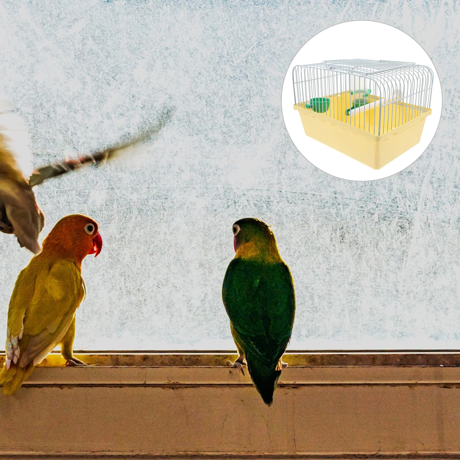 

Portable Bird Cage For Travel Sturdy Spacious Carrier For Parrots Lovebirds Cockatiels Small Birds Outdoor Adventure Abs