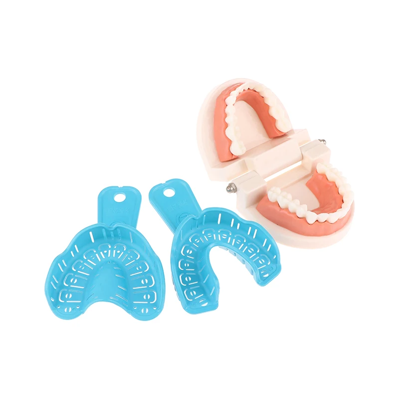 2Pcs Different Sizes Dental Impression Tray Upper Lower Full Mouth Removable Dentistry Supply Material