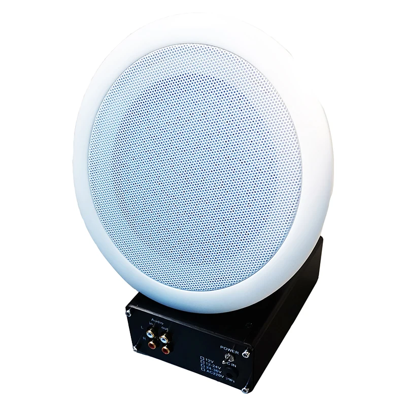 

Ultrasonic Directional Speaker with Focused Audio WS-R/V1.0, Amplifier and speaker split, Audio line Input