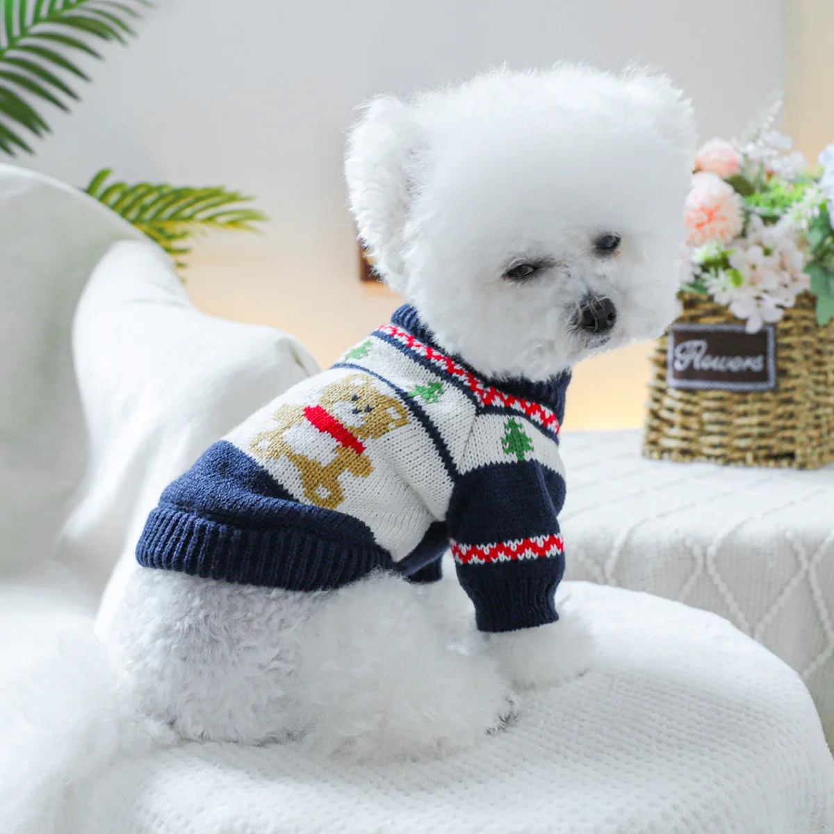 1PC pet clothing dog spring and autumn set of forest bear sweater suitable for small and medium -sized dogs