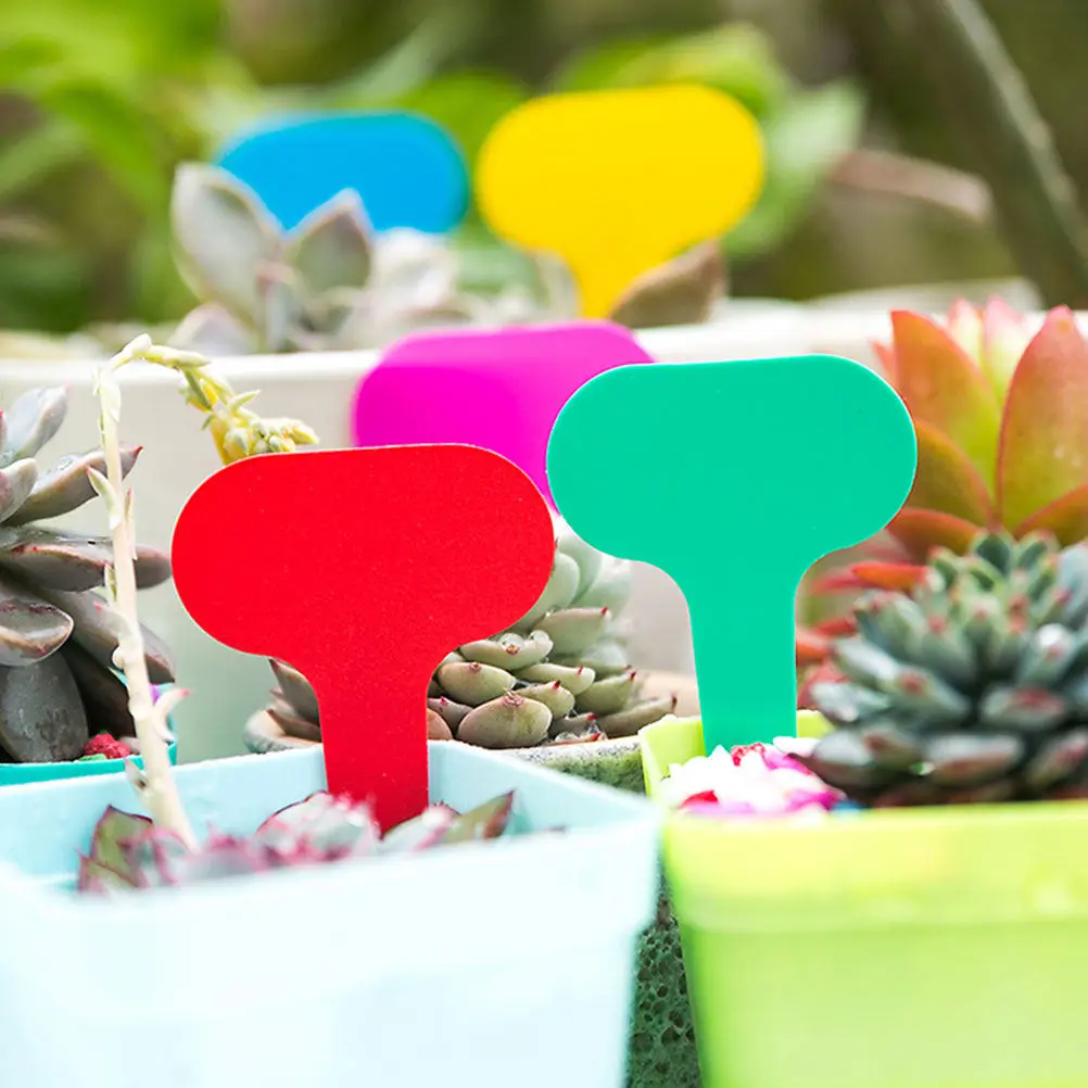 100Pcs T Design Plant Markers Plastic Garden Labels for Parks Nurseries Studios Exquisite Modeling Bright Non Fading Color