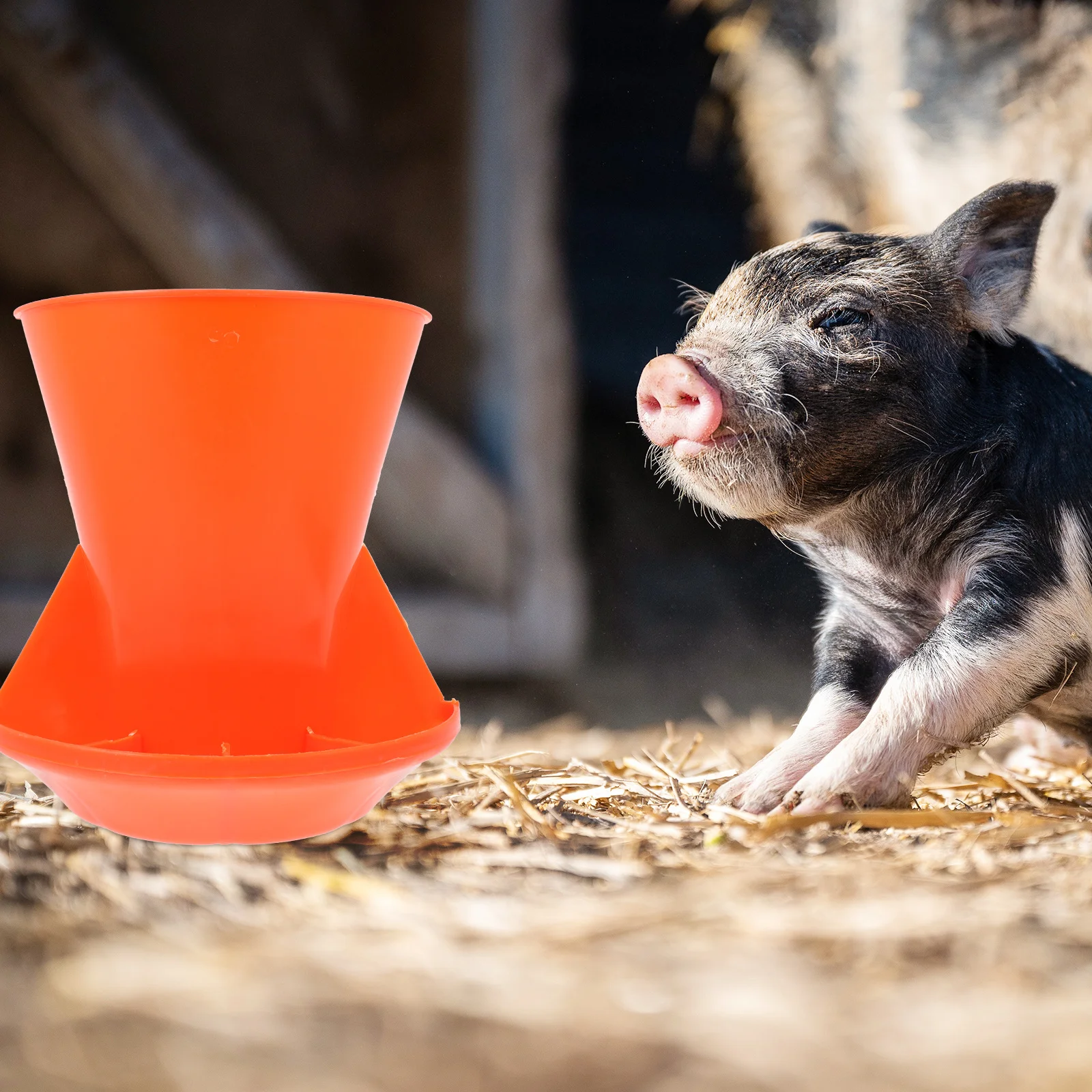 

1Pcs Compartment Pig Manger Strong Break Resistance Piglet Feeding Trough for Farm Wall Mounted Pig Food Feeder