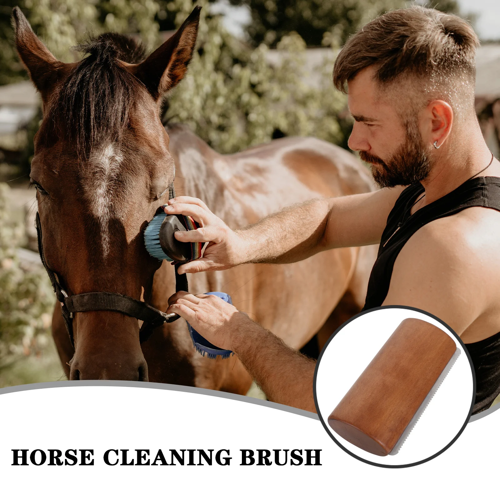 أداة العناية بالحصان الخشبي، مكشطة العرق، تصميم مسنن، قبضة مريحة، مستلزمات تنظيف الحصان اليومية المستقرة #4