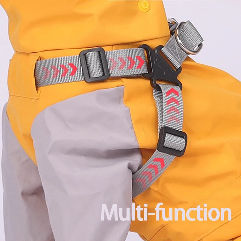 Thumbnail 3 - #9 Trending Puppy Coats Right Now