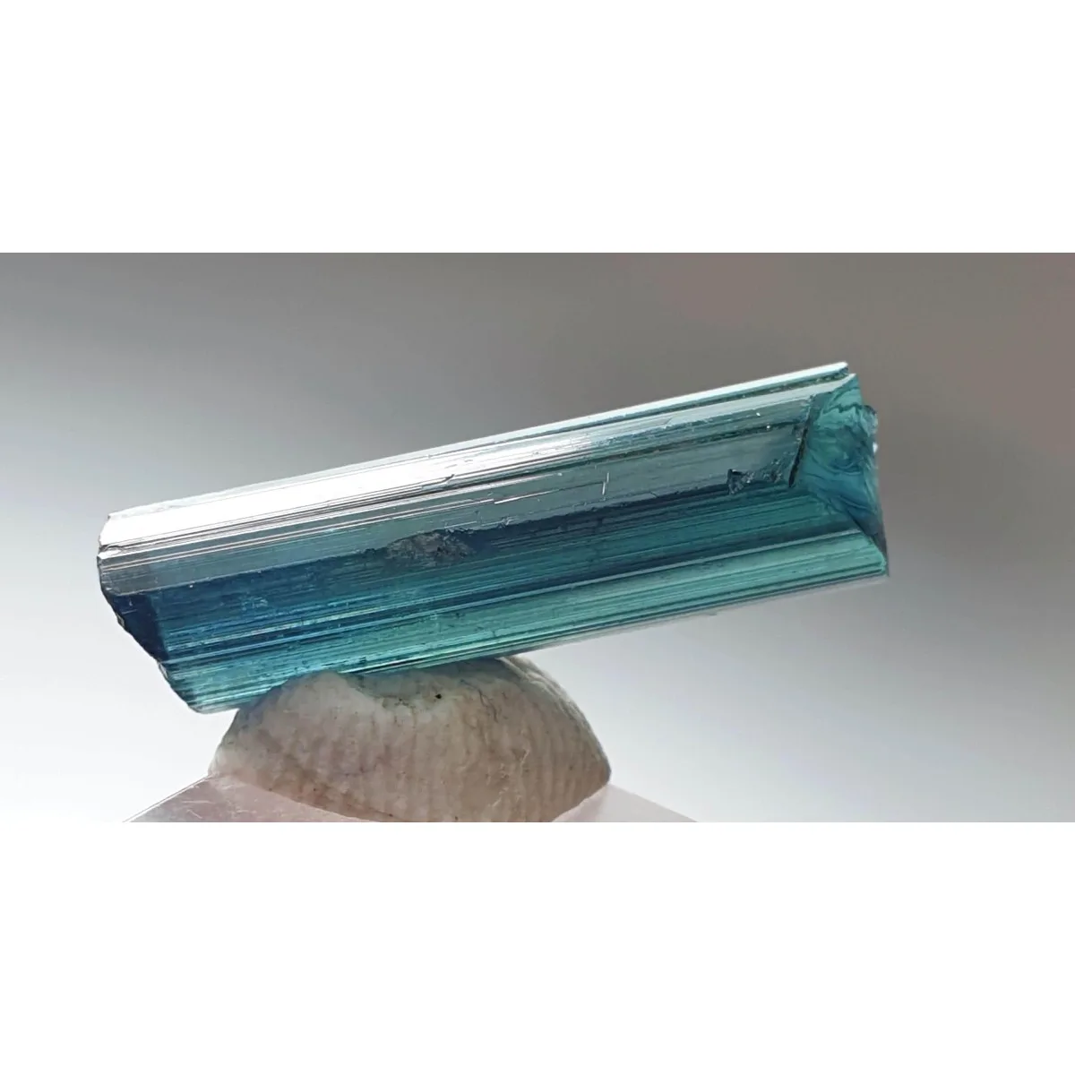 Brazilian Elbaite Crystal Points, 10g 5-15mm Multicolor Stones, Display Box for Collector Gift Box & Rock Collection