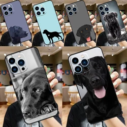 Black Labrador Dog Phone Case For iPhone 15 13 12 11 14 Pro Max Mini X XR XS Max SE 2020 2022 7 8 15 Plus Cover
