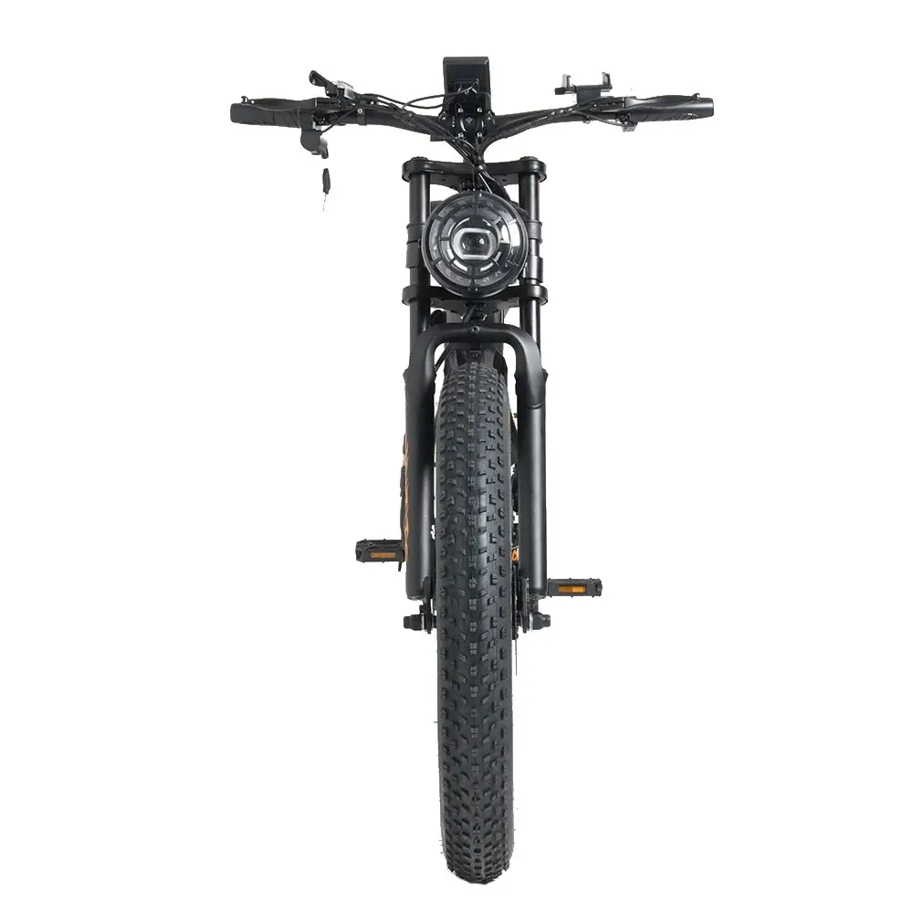 RICH BIT C01 3000W Peak Dual-Motor Elektro-Mountainbike, 48V 20Ah Akku, 60-63 km/h Höchstgeschwindigkeit, 40-60 km Reichweite, Fat-Tire Offroad-E-Bike für Erwachsene