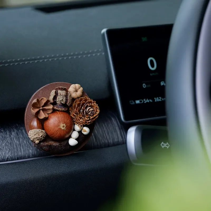 Handmade Pine Cone Dried Flower Car Aromatherapy Interior Decoration Trendy Plant Ornament High End Creative Gift